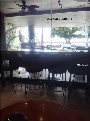cover image of Dumaguete Duality